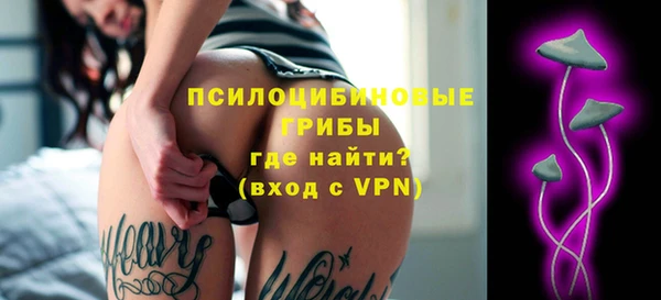 ПСИЛОЦИБИНОВЫЕ ГРИБЫ Алексеевка