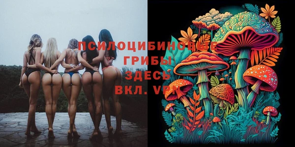 ПСИЛОЦИБИНОВЫЕ ГРИБЫ Алексеевка