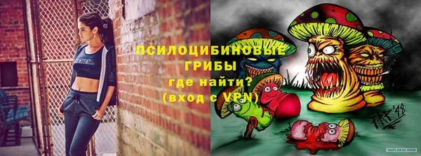 PSILOCYBIN Абдулино